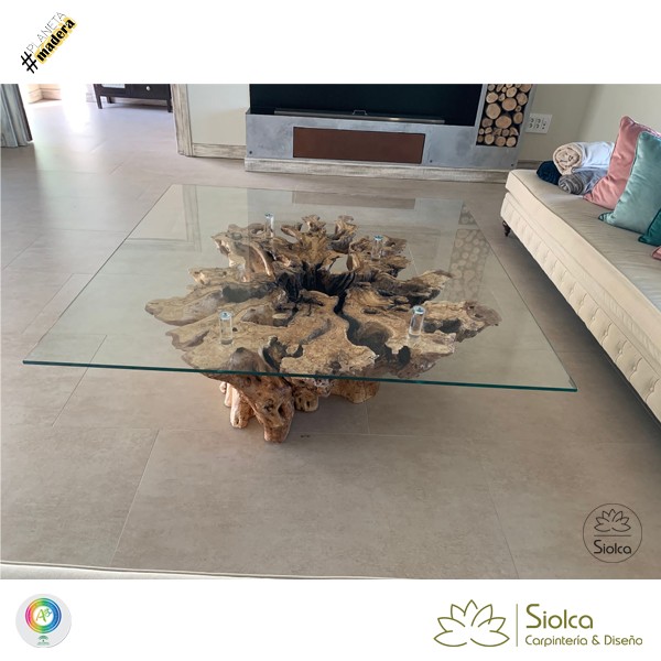 Mesa de centro de raíz de olivo serie Híades